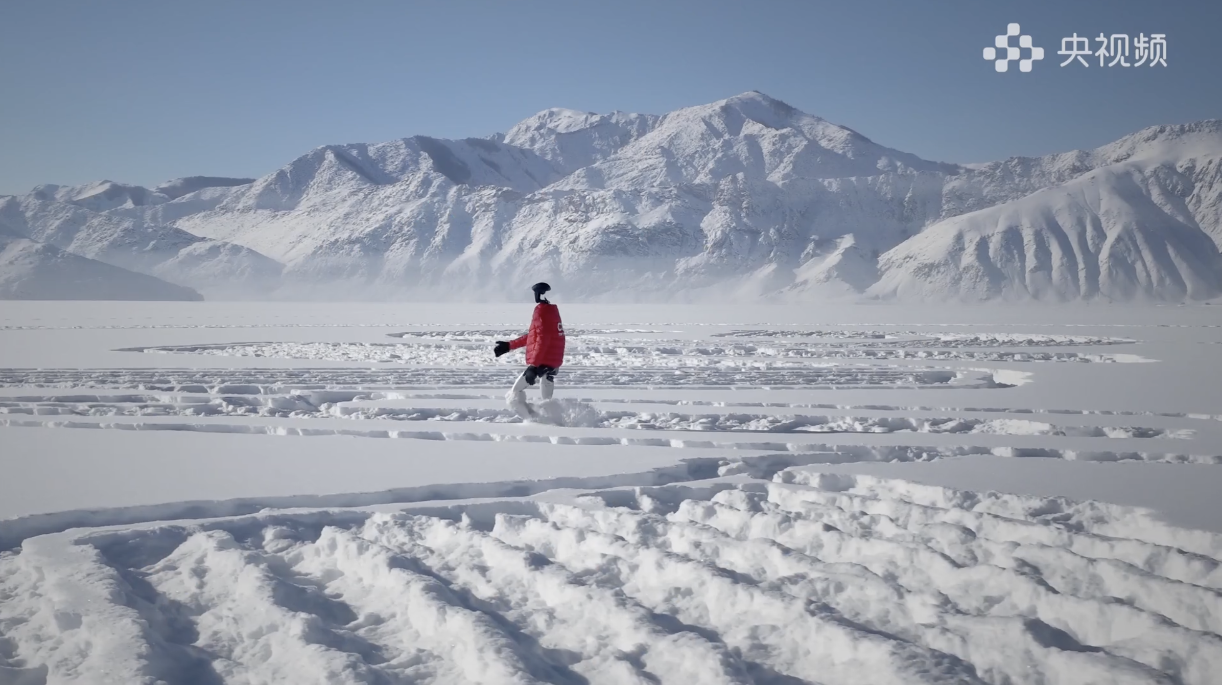 截屏2026-02-24 下午2.45.47